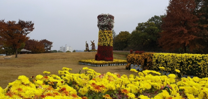 연천국화축제