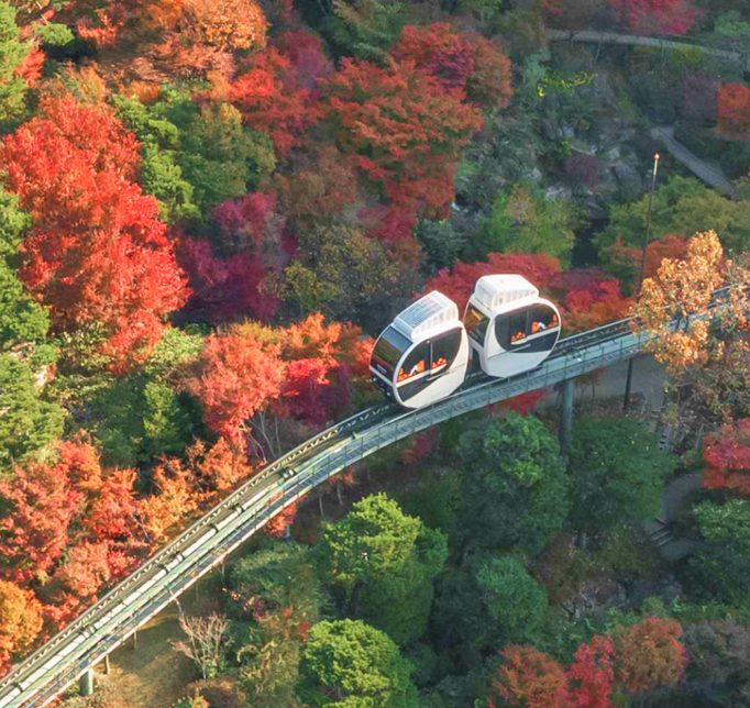단풍의 절정인 사이로 운행중인 모노레일의 이미지