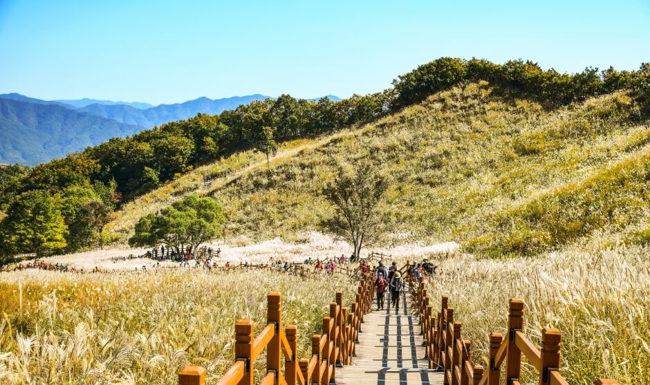 11월 여행지 추천 2024년 11월 한국 여행 11월 한국 여행지 TOP 10 가을 여행지 추천 한국 단풍 명소 억새 명소 추천 11월 가을 여행 추천 서울 억새밭 여행 제주도 가을 여행지 포천 명성산 억새 담양 메타세콰이아길 수원 방화수류정 피크닉 고성 미시령 은하수 11월 여행 코스 전라북도 부안 노을 세종시 국립수목원 당일치기 여행지 한국 가을 여행 코스 서울 가을 야경 명소 11월 당일치기 추천
