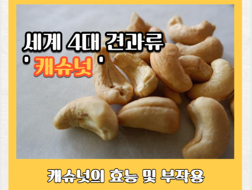고단백 식품 캐슈넛 효능 7가지와 부작용