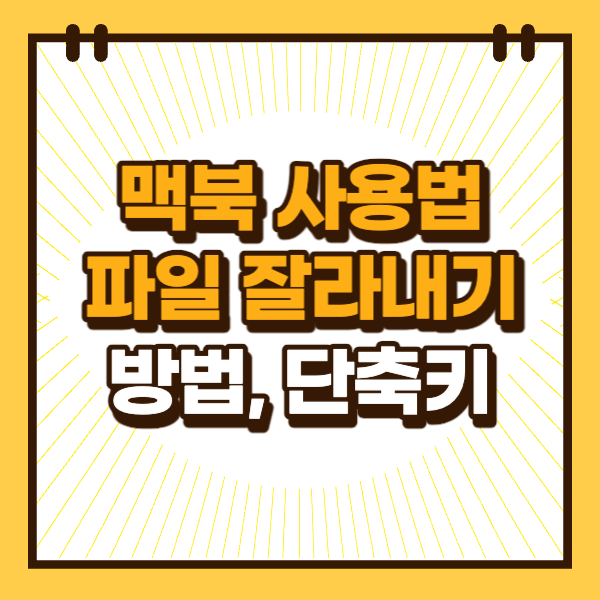 섬네일