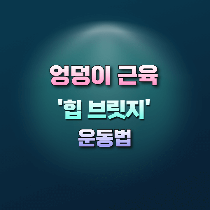 힙브릿지운동법