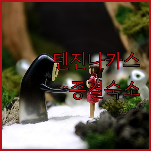 후쿠오카 숙박 정보 나카스와 텐진 중..