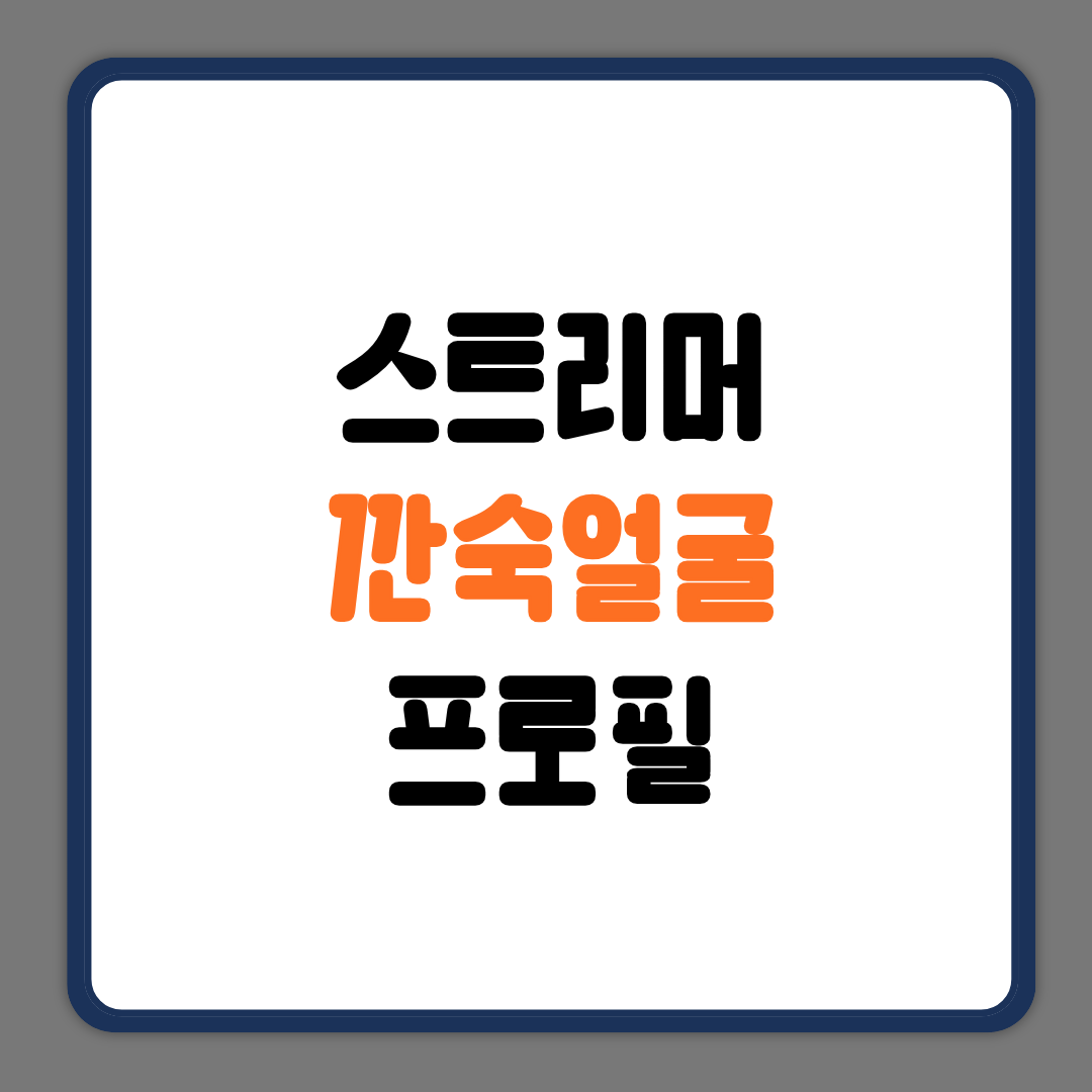 스트리머깐숙