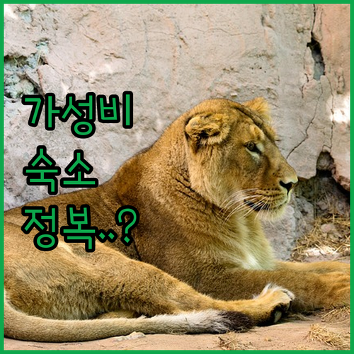 뉘른베르크 여행 숙소 가성비 호텔부터..