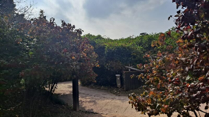 화성_우리꽃식물원_국화전시회