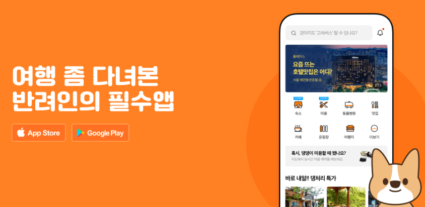 애견동반 숙소 호텔 할인쿠폰