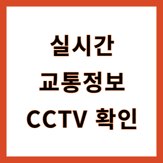 실시간 교통정보