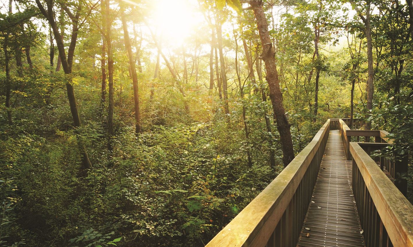 고창 가볼만한곳 베스트10