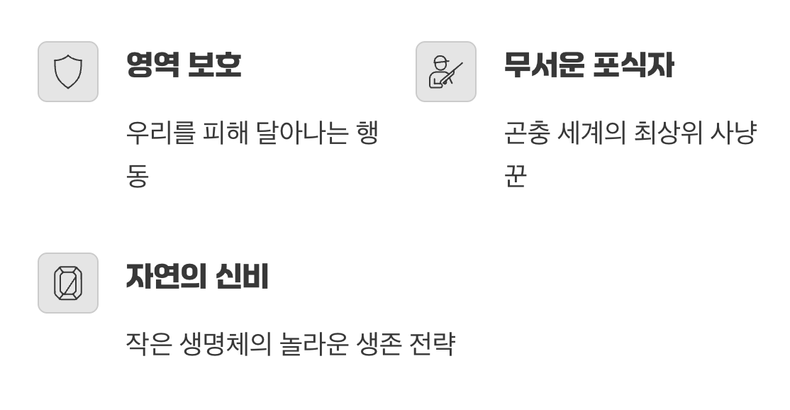 그래서, 길앞잡이는 친구일까 무서운 사냥꾼일까?