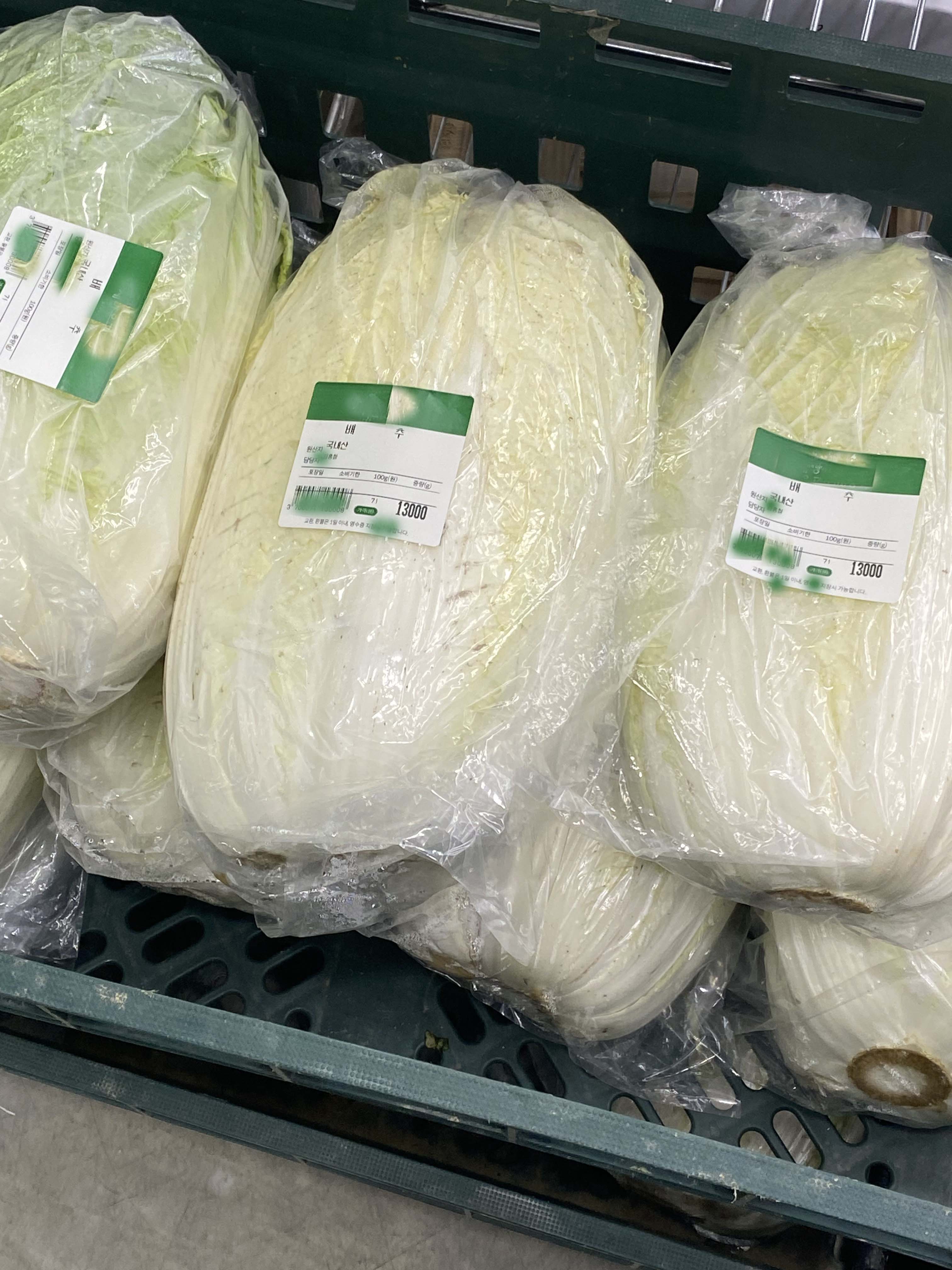 Alt 속성 문제 해결 설명 이미지