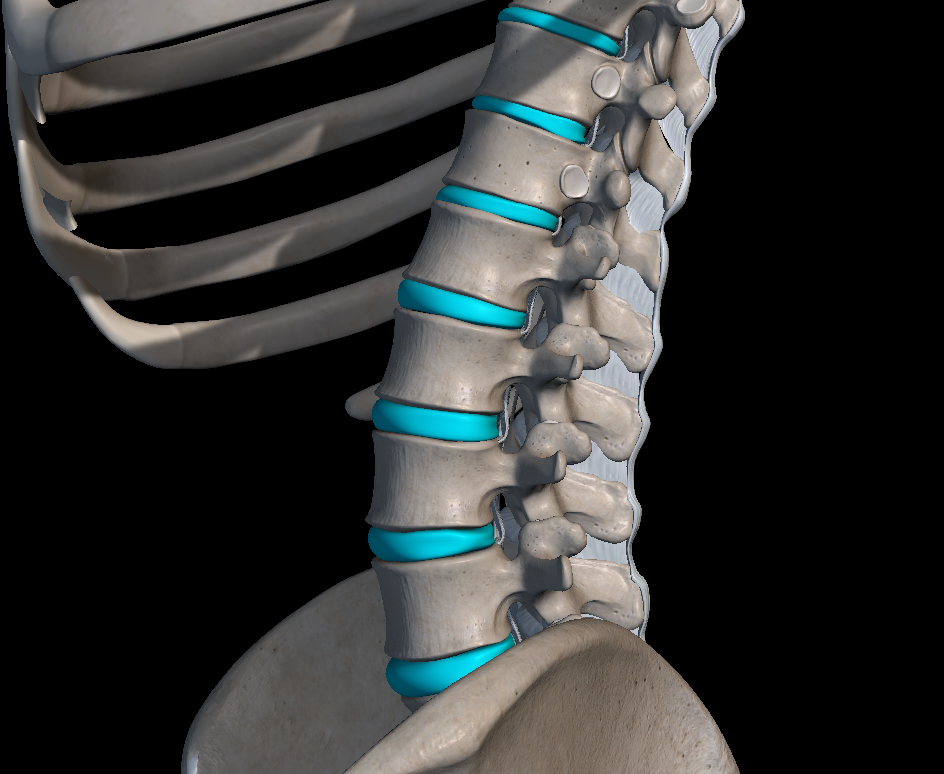 허리 디스크 다리 저림 증상 원인