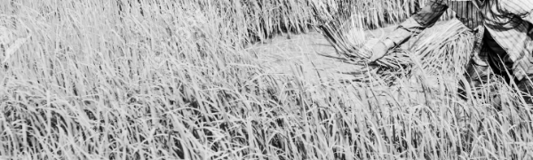 귀촌 지원금신청자격 기한