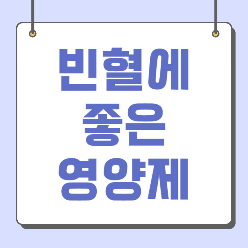 빈혈에 좋은 영양제