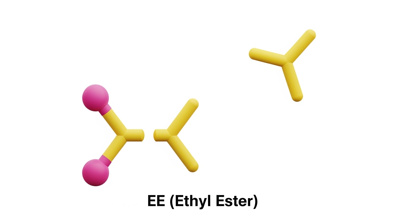 오메가3많은음식효능권장량복용시간효능