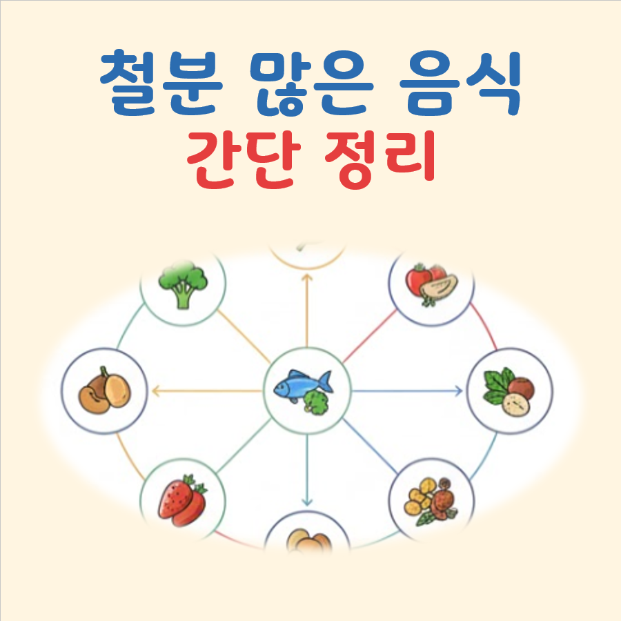 철분 많은 음식 대표 이미지