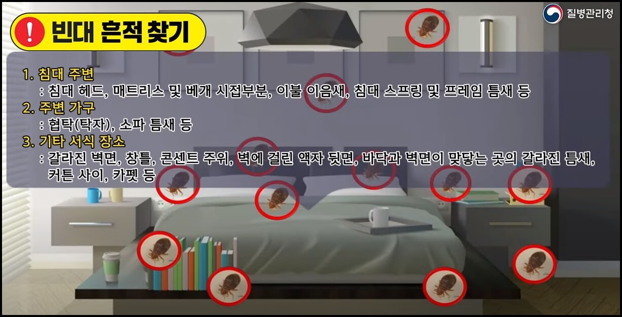 빈대가 자주 발견되는 곳