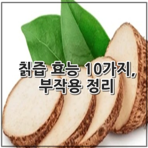 칡즙 효능 10가지, 부작용 정리