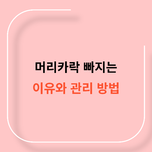 머리카락 빠지는 이유와 관리 방법11