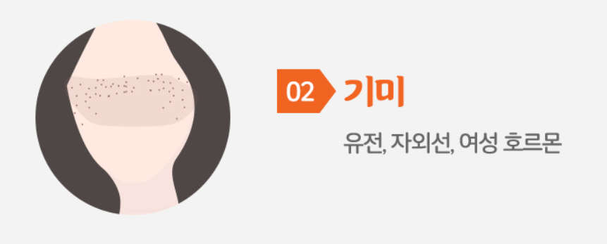 기미에 대한 설명 및 원인