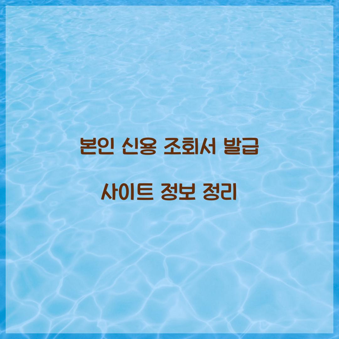 본인 신용 조회서 발급 사이트