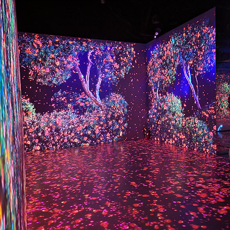 아르떼뮤지엄영상