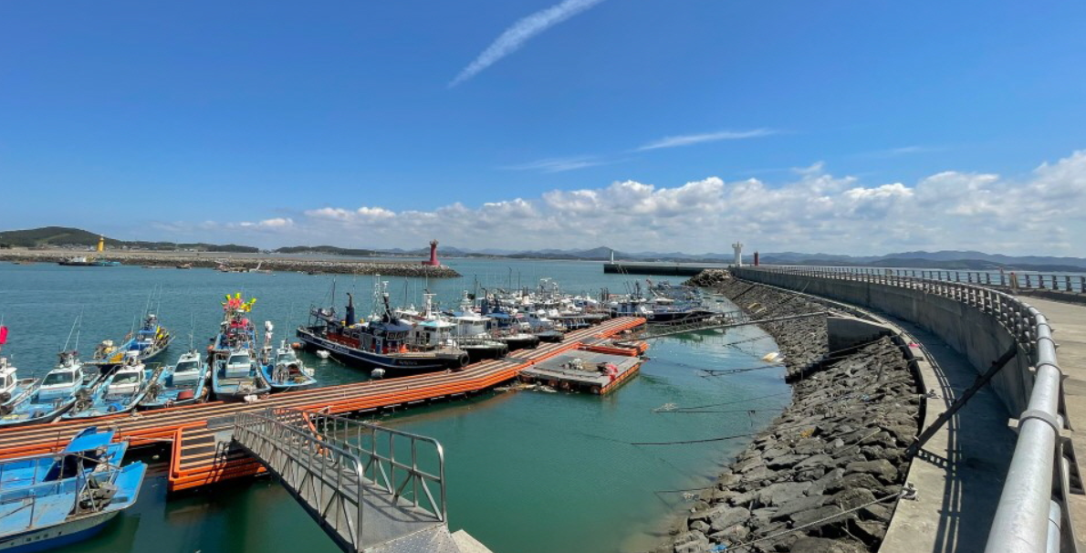 서천 동백꽃 주꾸미 축제