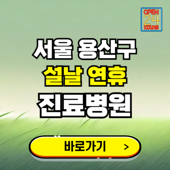 서울 용산구 설날 연휴 진료병원 찾기 ❘ 24시 응급 야간 심야 문여는 병원