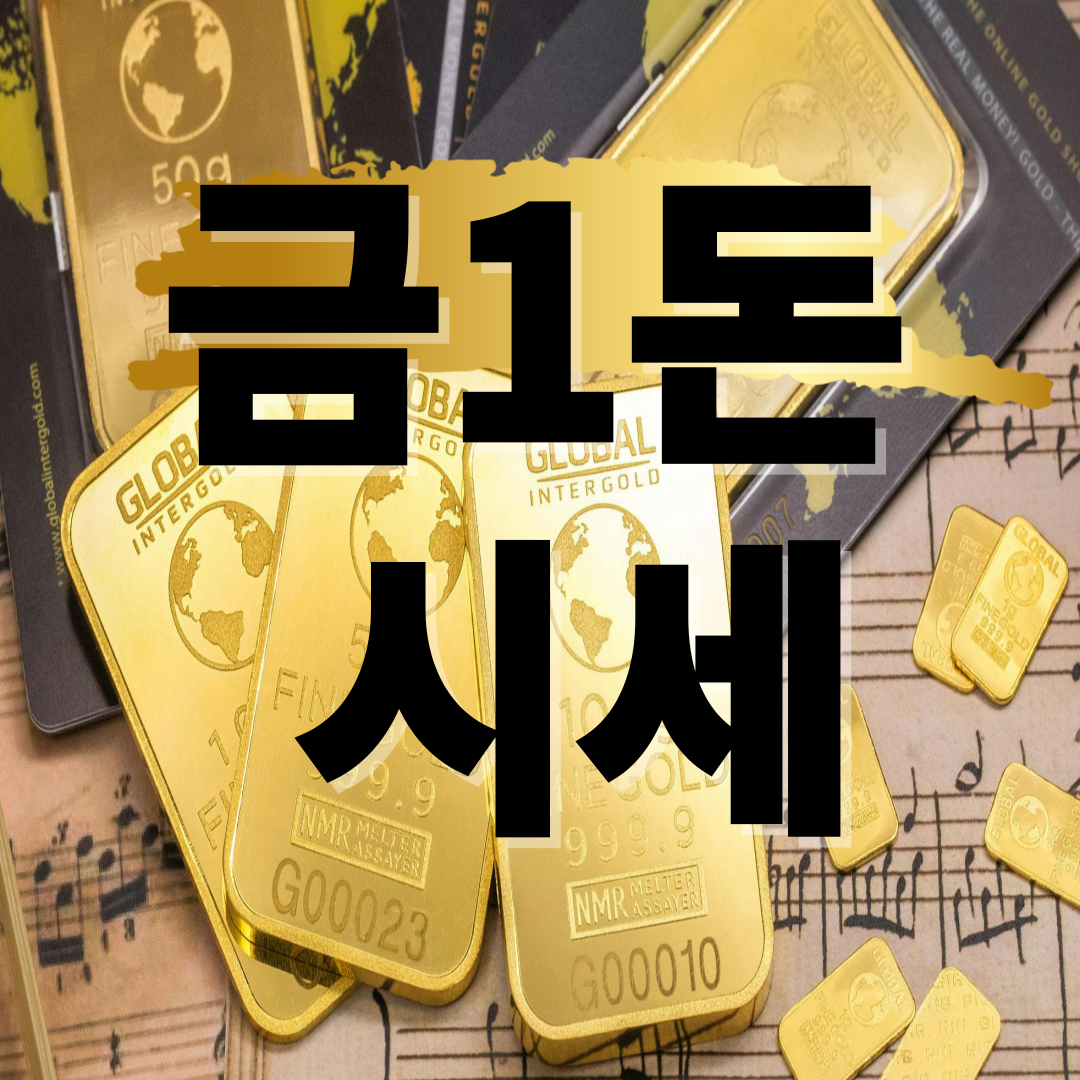 근1돈 시세 확인하기!!