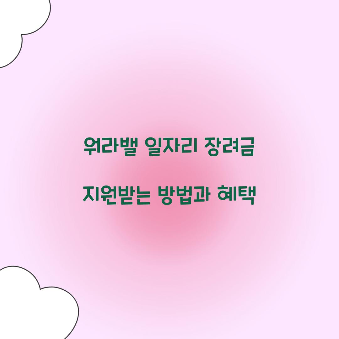워라밸 일자리 장려금
