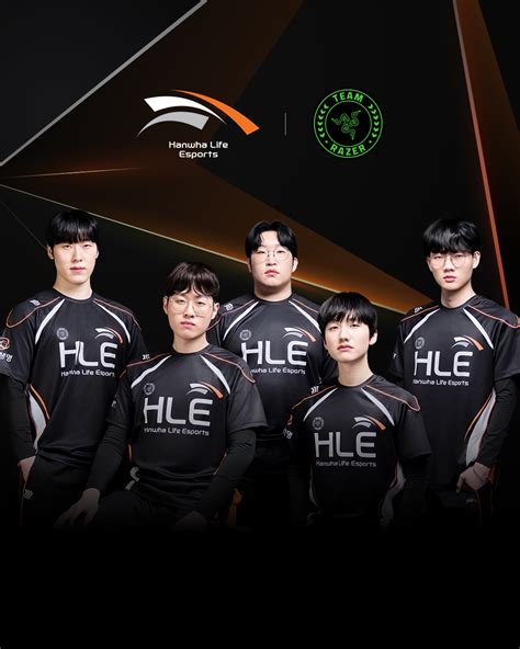 참가 팀 및 리그 구조