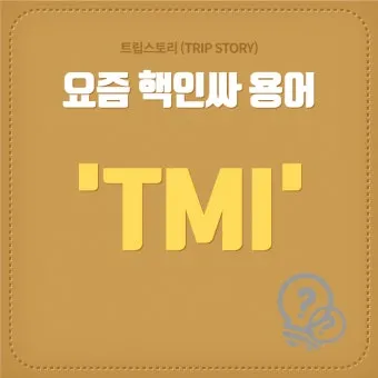 tmi 뜻과 3가지 상황별 해석 자료집_25