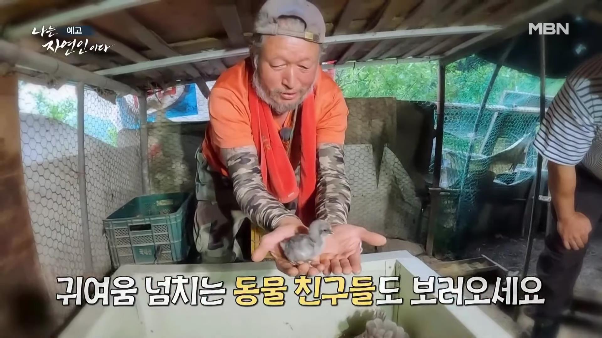 나는 자연인이다 낙상 사고 후유증, 산골 놀이터를 통해 회복, 산딸기 유기농 잼, 천마, 산삼 나눔, 출연료 기부, 키다리 아저씨 이제 착하게 삽니다 자연인 김기복 소개 및 이승윤 출연 560회회 다시보기