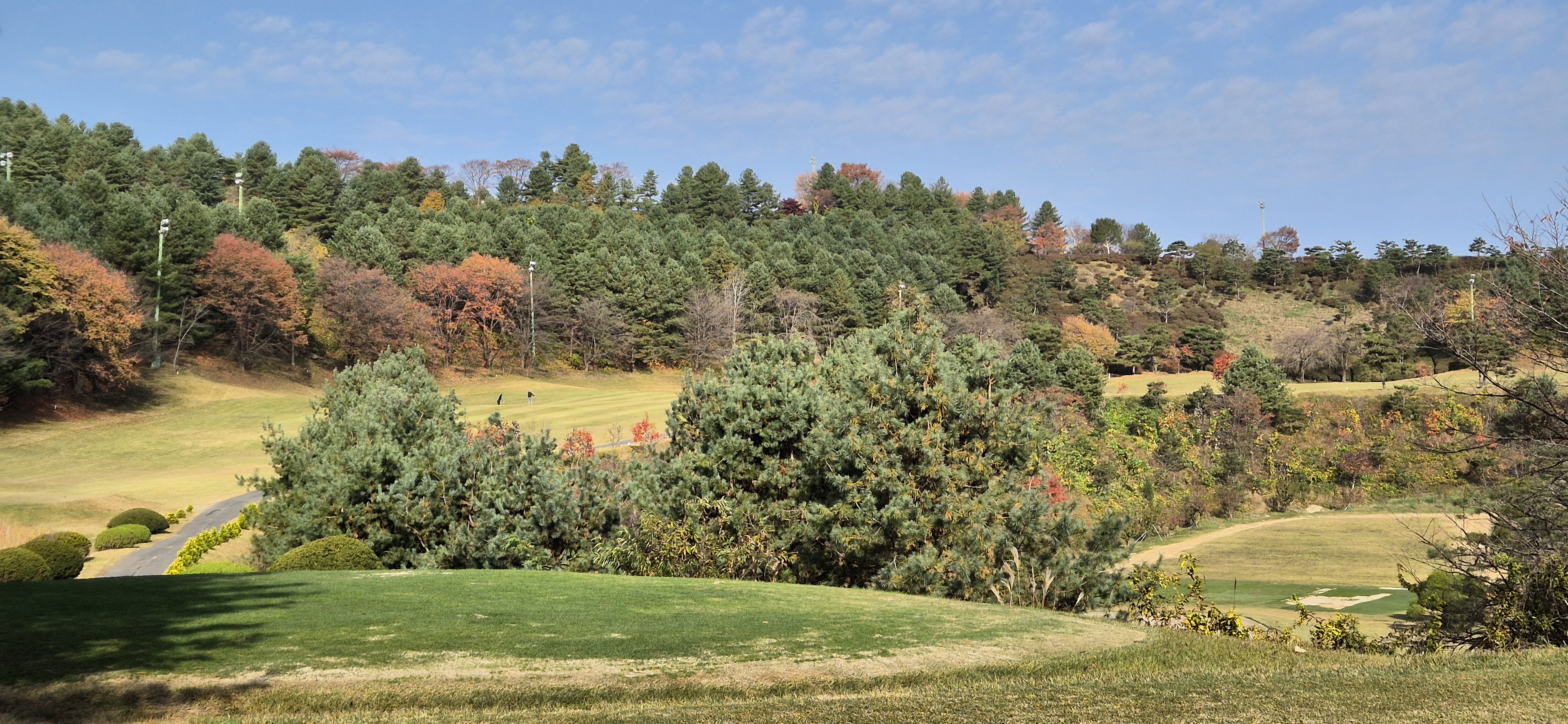 시그너스cc 라미코스 사진 및 공략 정보