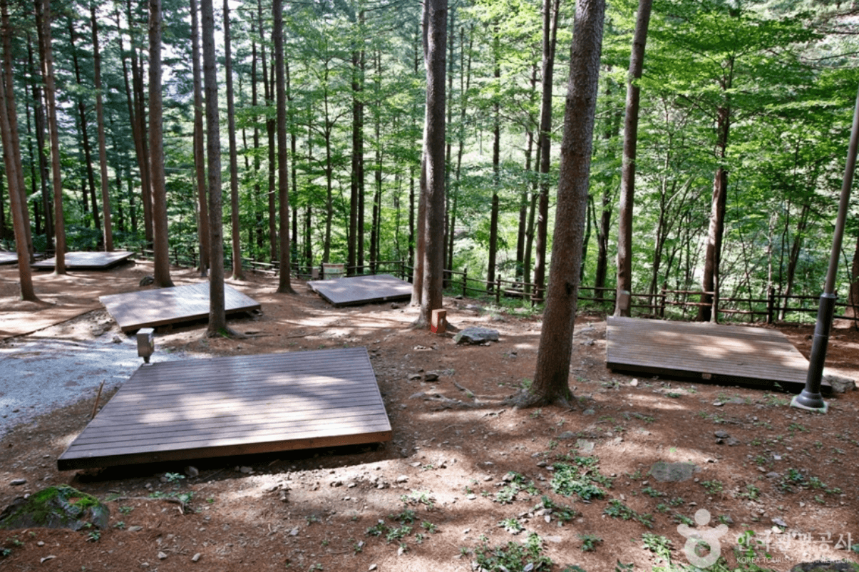 국립 덕유산 자연휴양림