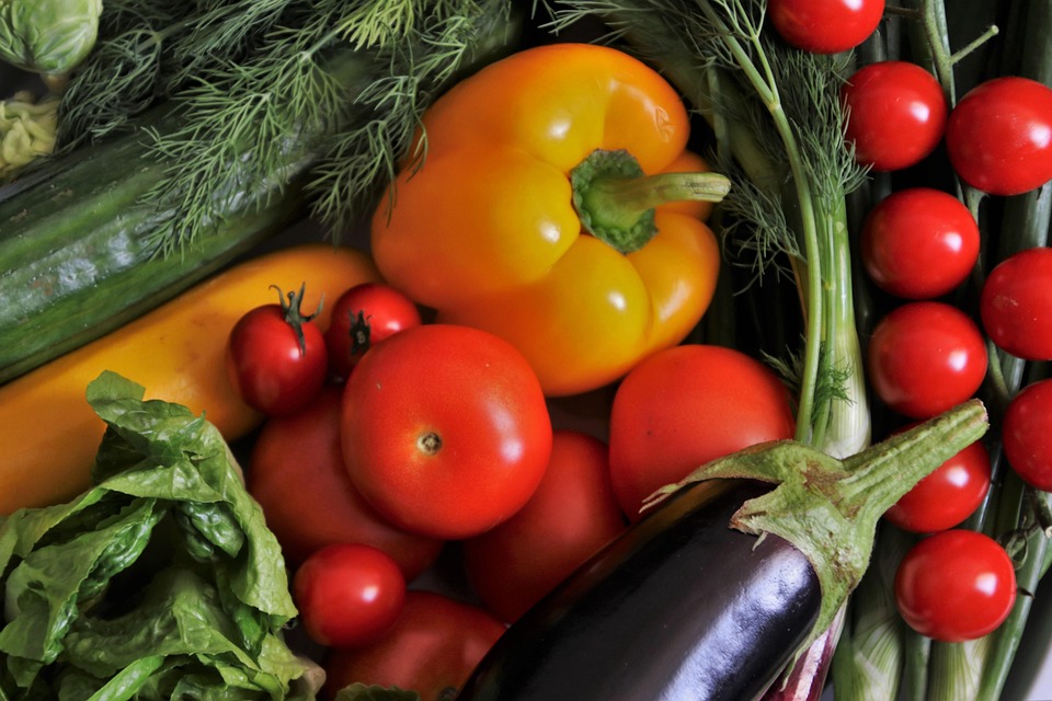 피망, 토마토 등의 사진