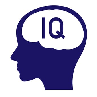 무료 아이큐 테스트
