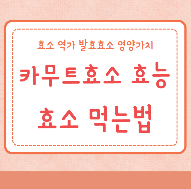 카무트효소 효능 골드카무트효소 먹는법
