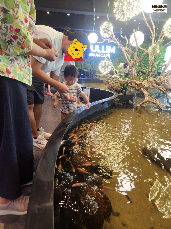 물고기 먹이주기 체험하며 행복해하는 첫째