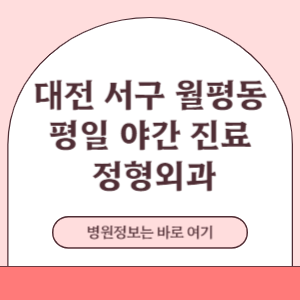 대전 서구 월평동 평일 야간진료 정형외과 진료 병원