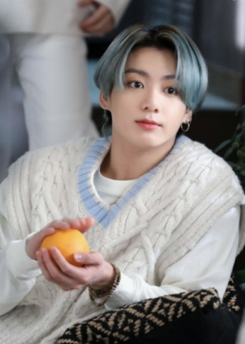 BTS 정국 팬송 프로필