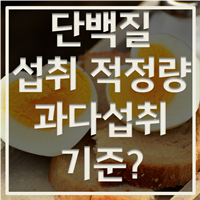 단백질 섭취량, 과다섭취