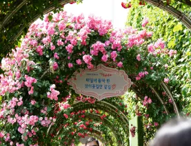 서울장미축제 일정 하는곳 