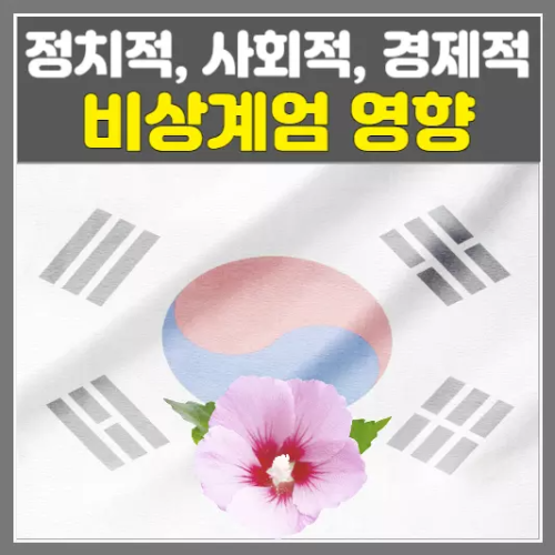 2024 비상계엄 뜻과 영향 (정치적, 사회적, 경제적)