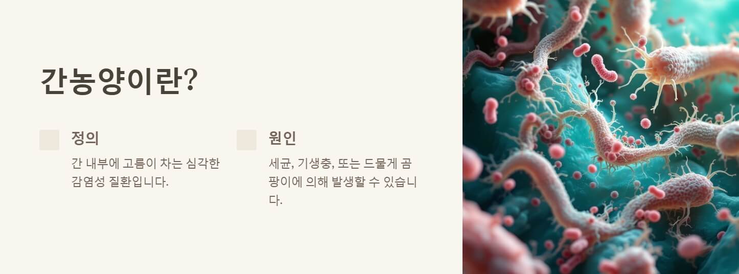 간농양 증상 치료