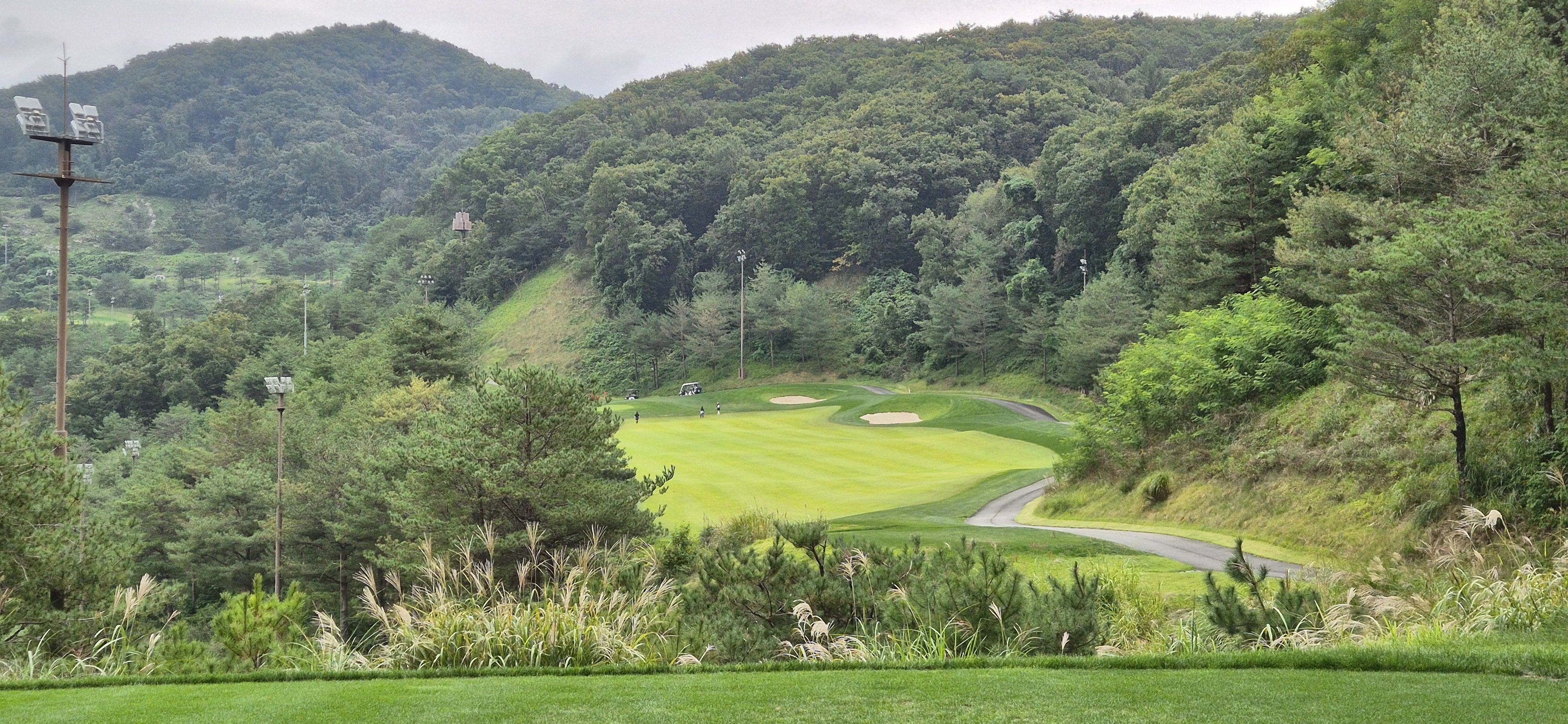 소노펠리체cc이스트