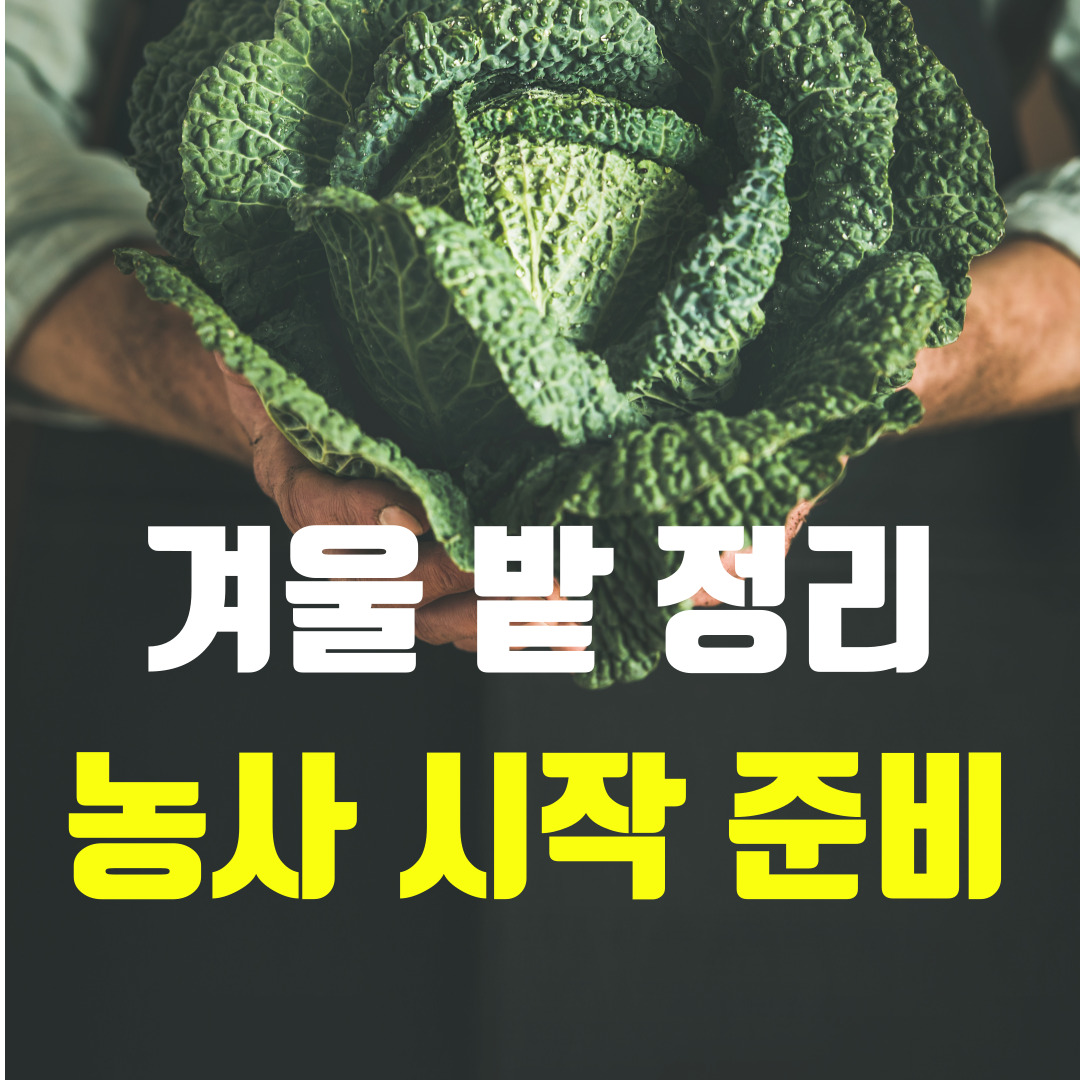 주말농장 시작하기