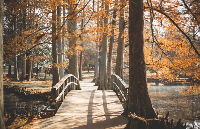 7월 축제 일정표