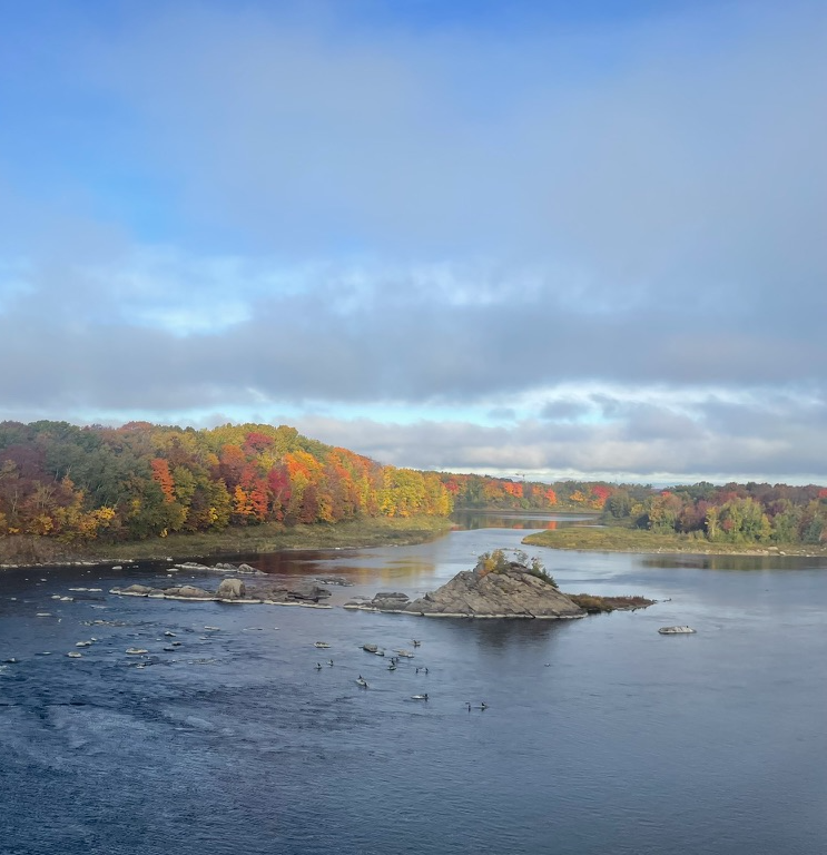 기차 창밖으로 찍은 단풍이 든 나무 풍경과 호수, 그리고 돌
