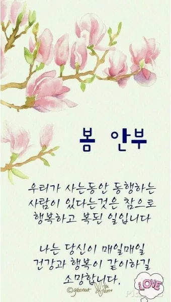 봄 이미지 일러스트 따뜻한 봄 꽃 예쁜 이미지_11